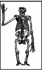 Septekh : Not Quite What I Had in Mind